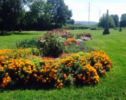 Visit Johnstown PA Partner Sandyvale Memorial Gardens And Conservancy