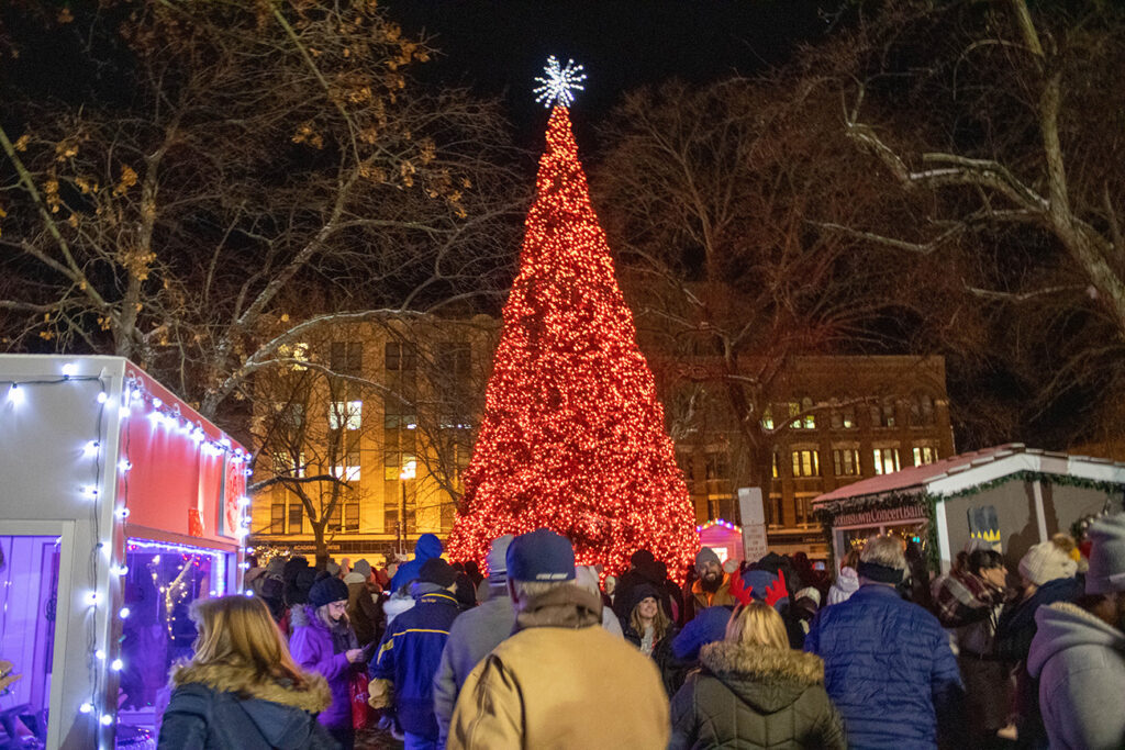 The Christmas Tree in Central Park - A Holiday Tradition