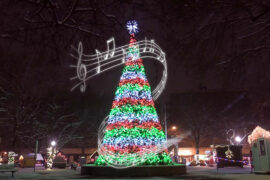 The Christmas Tree In Central Park - A Holiday Tradition