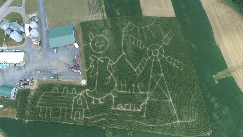 Hite Farms Corn Maze